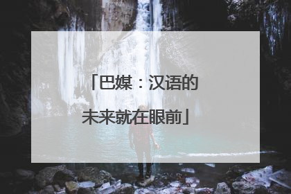 巴媒：汉语的未来就在眼前