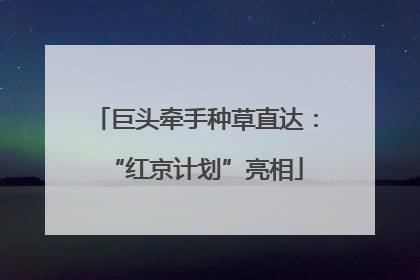 巨头牵手种草直达：“红京计划”亮相