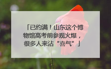 已约满！山东这个博物馆高考前参观火爆，很多人来沾“喜气”