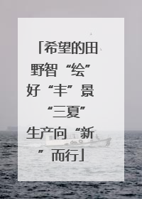 希望的田野智“绘”好“丰”景 “三夏”生产向“新”而行