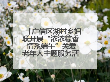 广信区湖村乡妇联开展“浓浓粽香 情系端午”关爱老年人主题服务活动（图）
