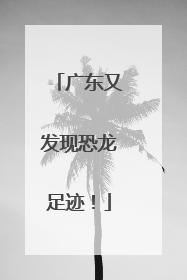 广东又发现恐龙足迹！