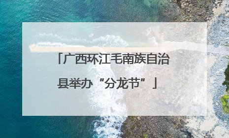 广西环江毛南族自治县举办“分龙节”