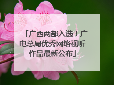 广西两部入选！广电总局优秀网络视听作品最新公布
