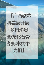 广西恐龙科普展开展 多具珍贵恐龙化石骨架标本集中亮相