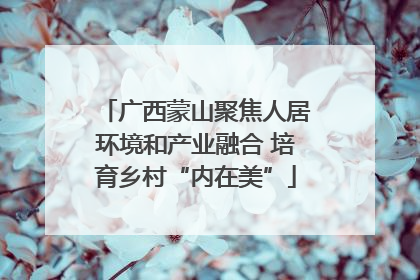 广西蒙山聚焦人居环境和产业融合 培育乡村“内在美”