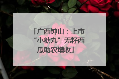 广西钟山：上市“小糖丸”无籽西瓜助农增收