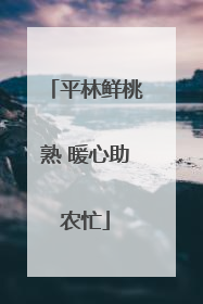 平林鲜桃熟 暖心助农忙