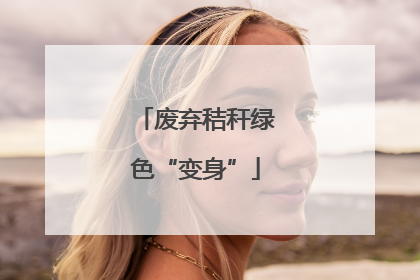 废弃秸秆绿色“变身”