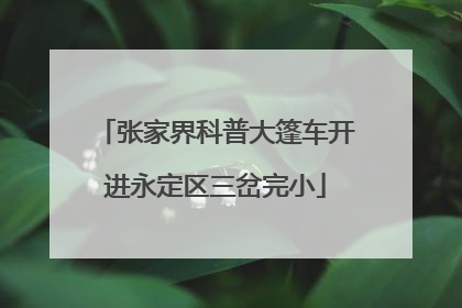 张家界科普大篷车开进永定区三岔完小