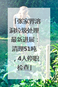 张家界溶洞垃圾处理最新进展：清理51吨，4人停职检查