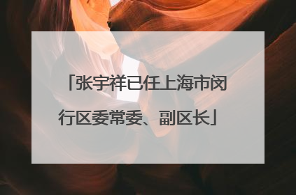张宇祥已任上海市闵行区委常委、副区长