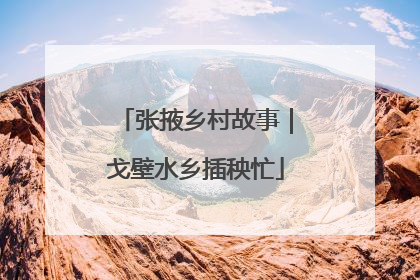 张掖乡村故事｜戈壁水乡插秧忙