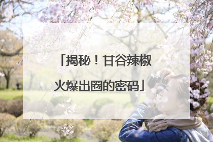 揭秘！甘谷辣椒火爆出圈的密码