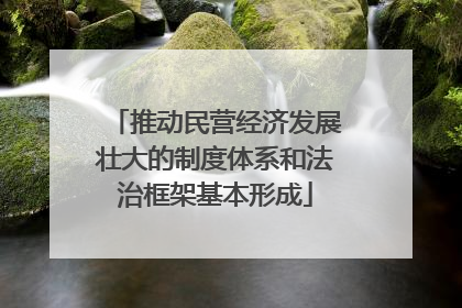 推动民营经济发展壮大的制度体系和法治框架基本形成