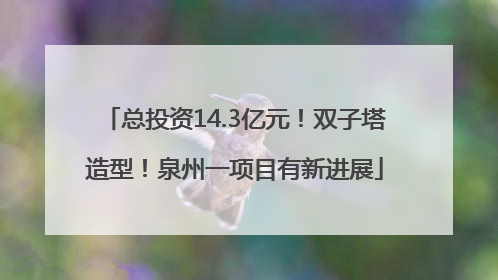 总投资14.3亿元！双子塔造型！泉州一项目有新进展