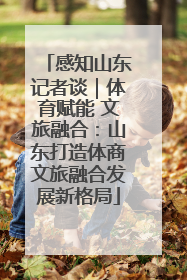 感知山东记者谈｜体育赋能 文旅融合：山东打造体商文旅融合发展新格局