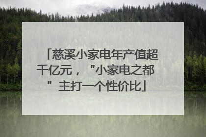 慈溪小家电年产值超千亿元，“小家电之都”主打一个性价比