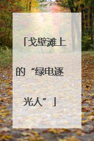 戈壁滩上的“绿电逐光人”
