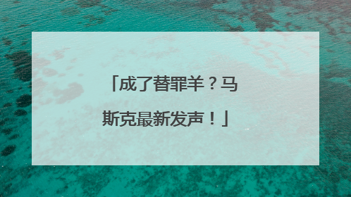 成了替罪羊？马斯克最新发声！