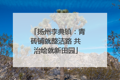 扬州李典镇：青砖铺就整洁路 共治绘就新田园