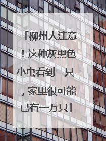 柳州人注意！这种灰黑色小虫看到一只，家里很可能已有一万只