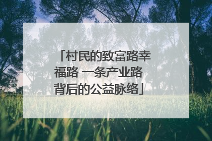 村民的致富路幸福路 一条产业路背后的公益脉络