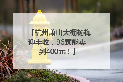 杭州萧山大棚杨梅迎丰收，96颗能卖到400元！