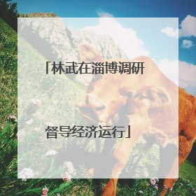 林武在淄博调研督导经济运行