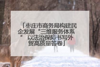 枣庄市商务局构建民企发展“三维服务体系” 以法治保障书写外贸高质量答卷