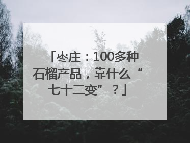 枣庄：100多种石榴产品，靠什么“七十二变”？