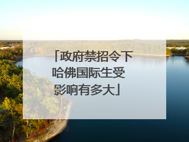 政府禁招令下 哈佛国际生受影响有多大