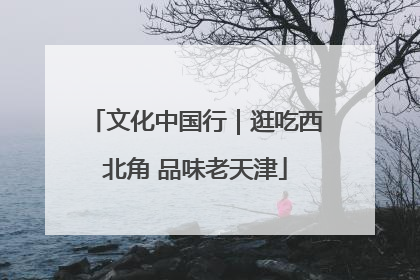 文化中国行｜逛吃西北角 品味老天津
