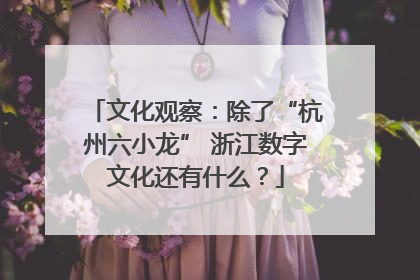 文化观察：除了“杭州六小龙” 浙江数字文化还有什么？