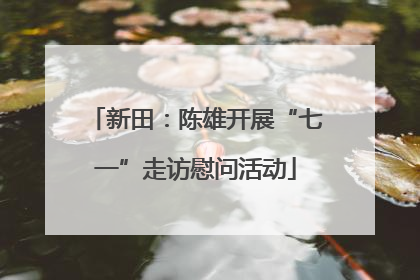 新田：陈雄开展“七一”走访慰问活动