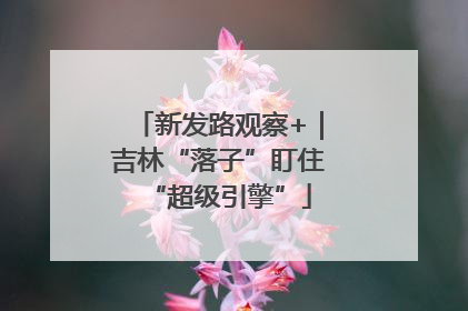 新发路观察+｜吉林“落子”盯住“超级引擎”