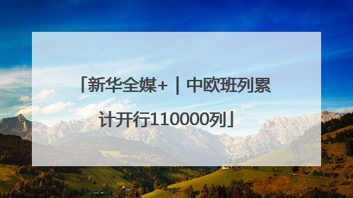 新华全媒+｜中欧班列累计开行110000列