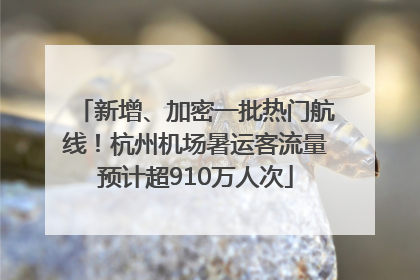 新增、加密一批热门航线！杭州机场暑运客流量预计超910万人次