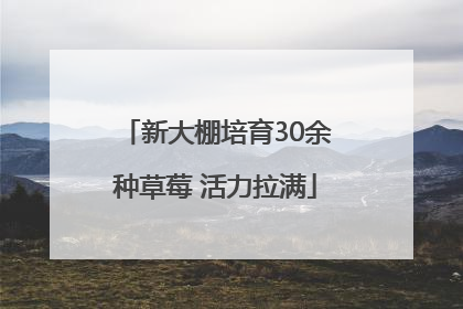 新大棚培育30余种草莓 活力拉满
