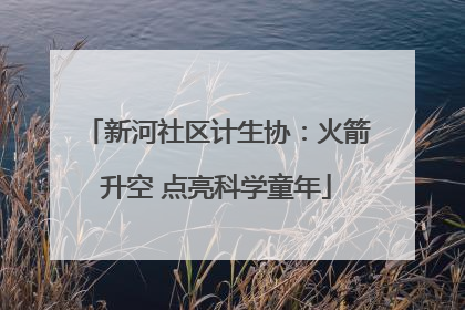 新河社区计生协：火箭升空 点亮科学童年