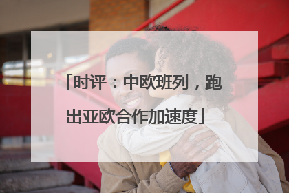 时评：中欧班列，跑出亚欧合作加速度