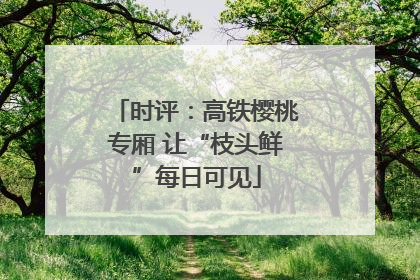 时评：高铁樱桃专厢 让“枝头鲜”每日可见