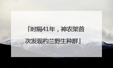 时隔41年，神农架首次发现杓兰野生种群