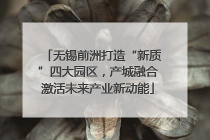 无锡前洲打造“新质”四大园区，产城融合激活未来产业新动能