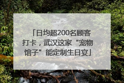 日均超200名顾客打卡，武汉这家“宠物馆子”能定制生日宴