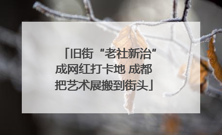 旧街“老社新治”成网红打卡地 成都把艺术展搬到街头