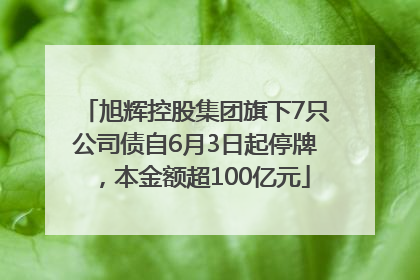 旭辉控股集团旗下7只公司债自6月3日起停牌，本金额超100亿元