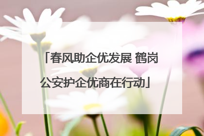 春风助企优发展 鹤岗公安护企优商在行动