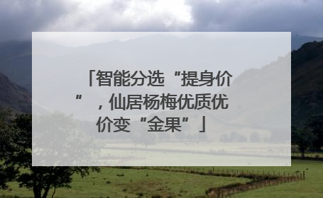 智能分选“提身价”，仙居杨梅优质优价变“金果”