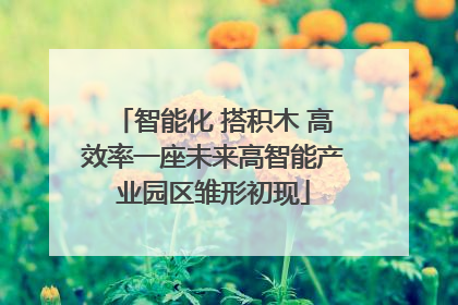 智能化 搭积木 高效率一座未来高智能产业园区雏形初现